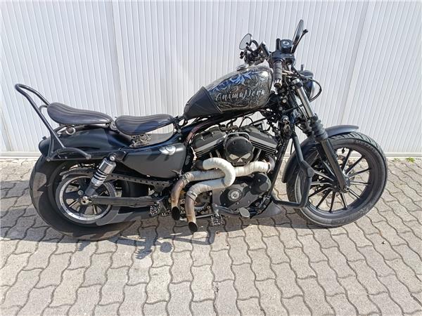 2013 Iron 883