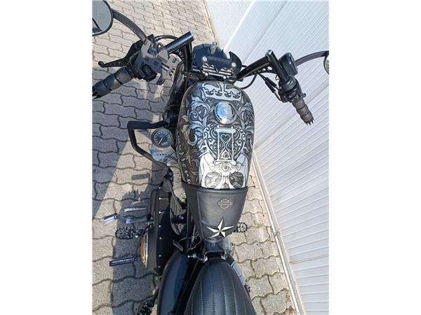 2013 Iron 883