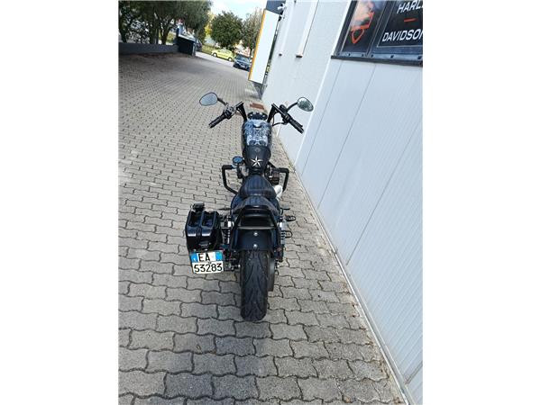 2013 Iron 883