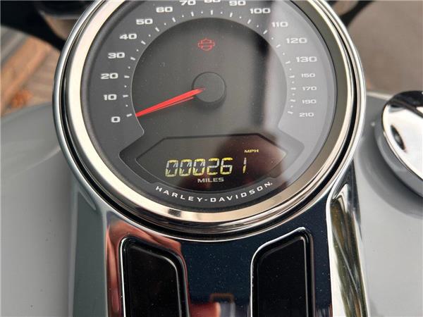 2025 HARLEY-DAVIDSON Softail