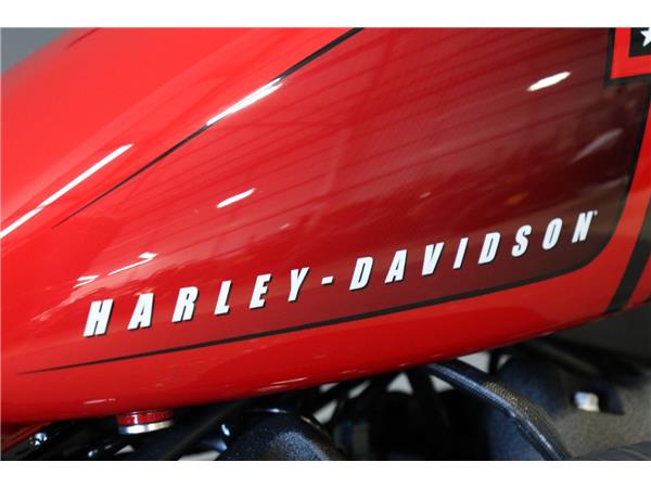 2024 HARLEY-DAVIDSON SOFTAIL FXBBS STREET BOB 114