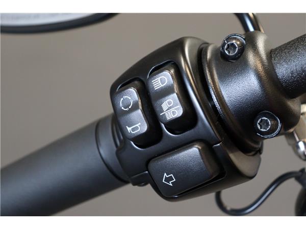 2024 HARLEY-DAVIDSON SOFTAIL FXBBS STREET BOB 114