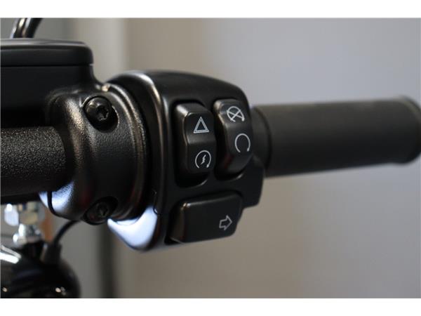 2024 HARLEY-DAVIDSON SOFTAIL FXBBS STREET BOB 114