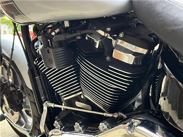 2023 Harley-Davidson Softail