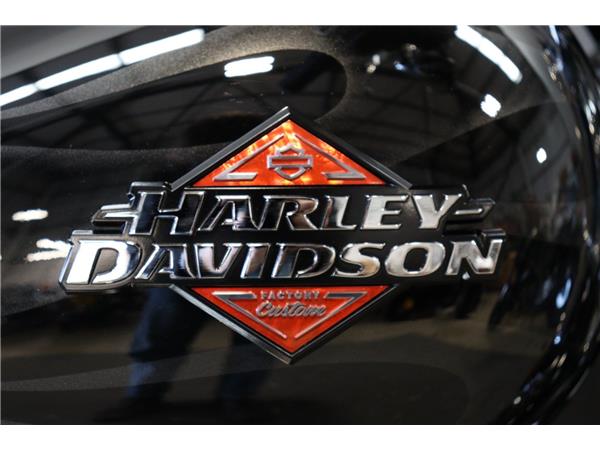 2025 HARLEY-DAVIDSON SOFTAIL BREAKOUT 117