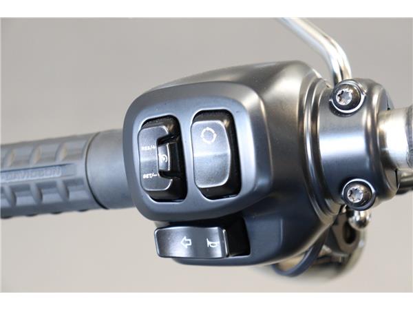 2025 HARLEY-DAVIDSON SOFTAIL BREAKOUT 117