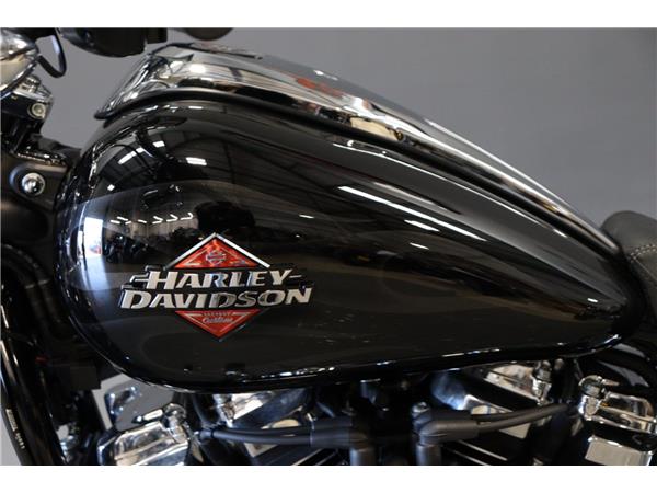 2025 HARLEY-DAVIDSON SOFTAIL BREAKOUT 117