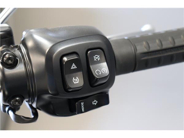 2025 HARLEY-DAVIDSON SOFTAIL BREAKOUT 117