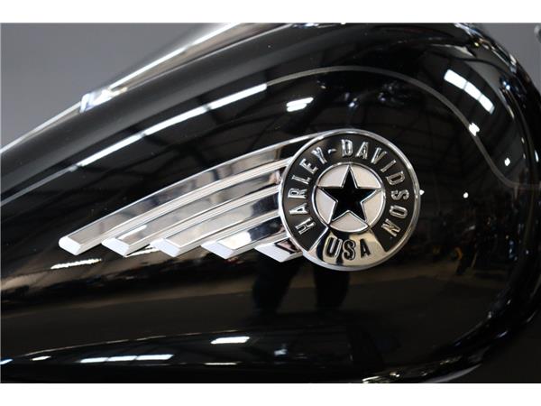 2025 HARLEY-DAVIDSON SOFTAIL FLSTF FAT BOY