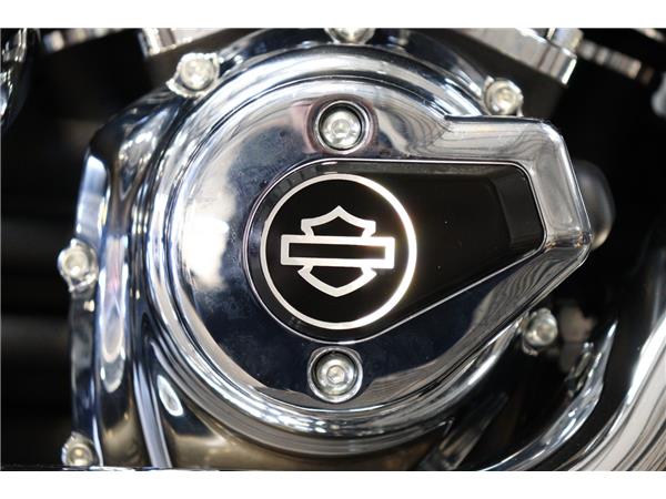 2025 HARLEY-DAVIDSON SOFTAIL FLSTF FAT BOY