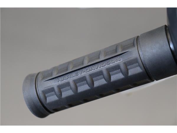 2025 HARLEY-DAVIDSON SOFTAIL FLSTF FAT BOY