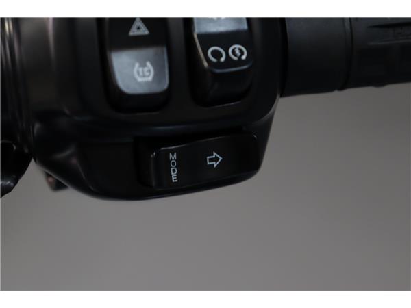 2025 HARLEY-DAVIDSON SOFTAIL FLSTF FAT BOY