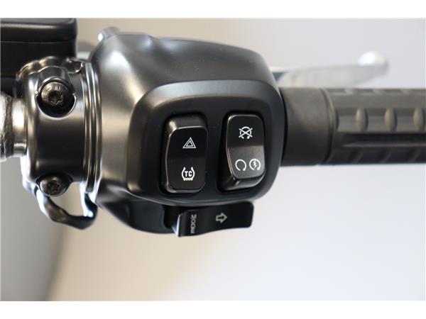 2025 HARLEY-DAVIDSON SOFTAIL FLSTF FAT BOY