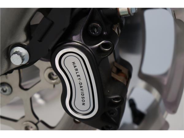 2025 HARLEY-DAVIDSON SOFTAIL FLSTF FAT BOY