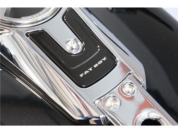 2025 HARLEY-DAVIDSON SOFTAIL FLSTF FAT BOY