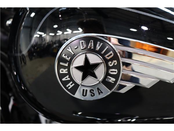 2025 HARLEY-DAVIDSON SOFTAIL FLSTF FAT BOY