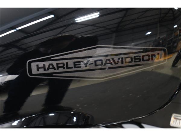 2024 HARLEY-DAVIDSON SOFTAIL STANDARD 