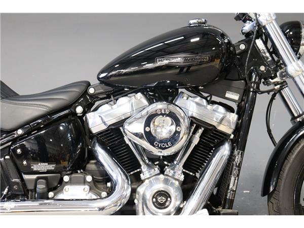 2024 HARLEY-DAVIDSON SOFTAIL STANDARD 