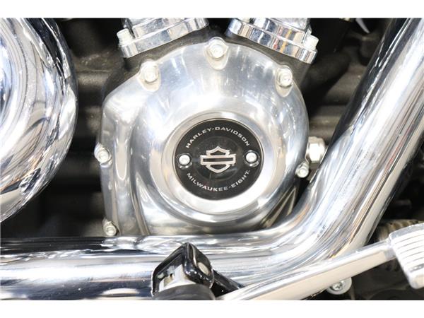 2024 HARLEY-DAVIDSON SOFTAIL STANDARD 