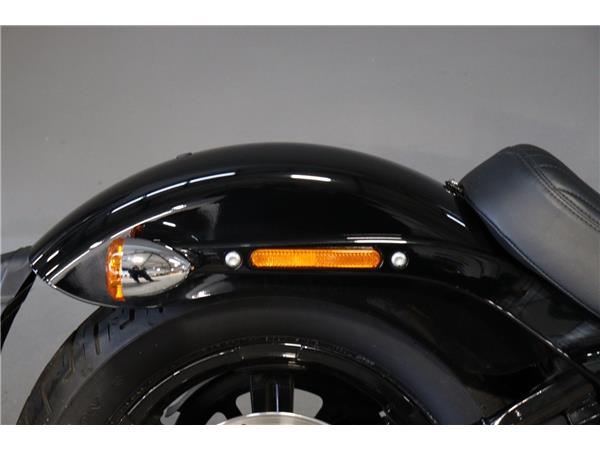 2024 HARLEY-DAVIDSON SOFTAIL STANDARD 