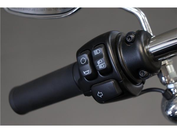 2024 HARLEY-DAVIDSON SOFTAIL STANDARD 