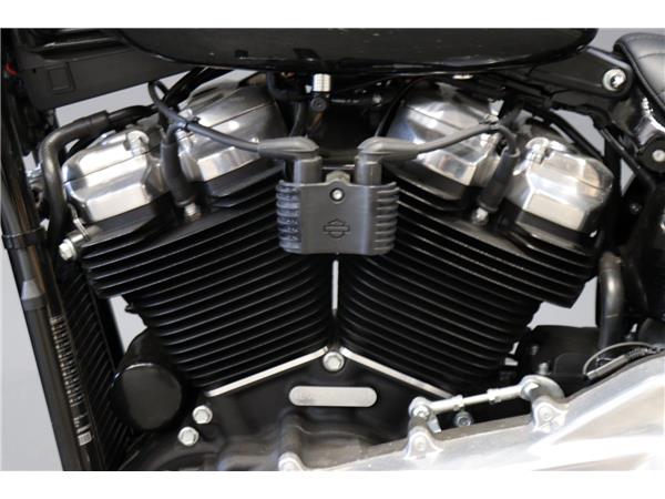 2024 HARLEY-DAVIDSON SOFTAIL STANDARD 