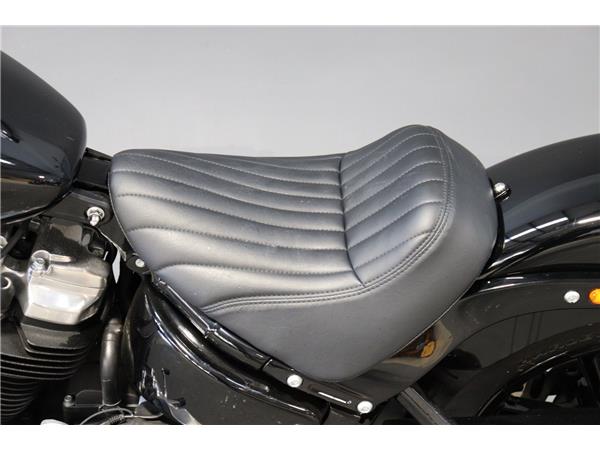 2024 HARLEY-DAVIDSON SOFTAIL STANDARD 