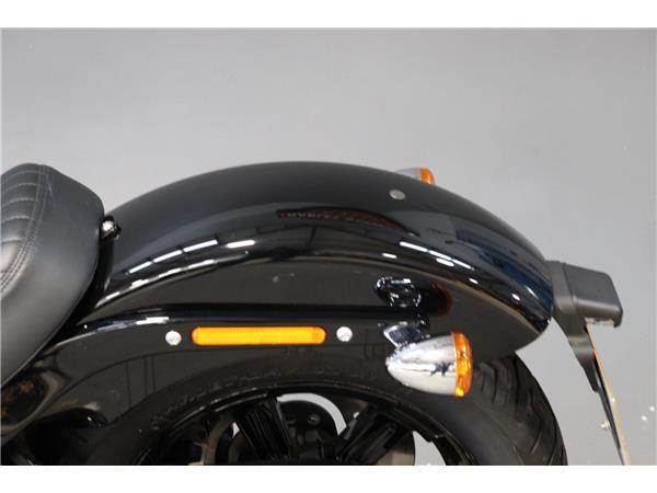 2024 HARLEY-DAVIDSON SOFTAIL STANDARD 