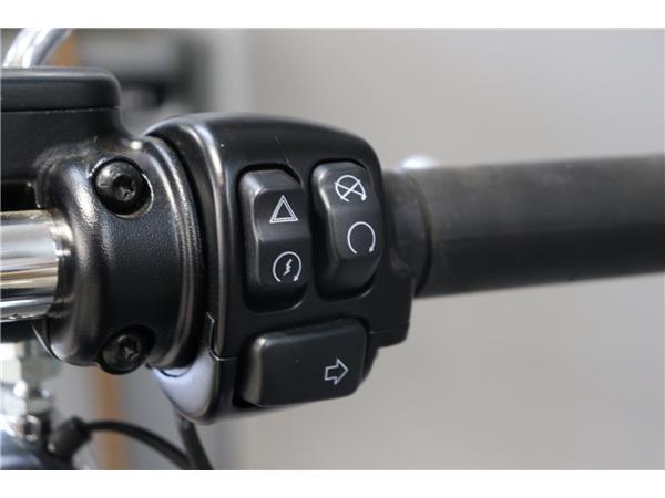 2024 HARLEY-DAVIDSON SOFTAIL STANDARD 