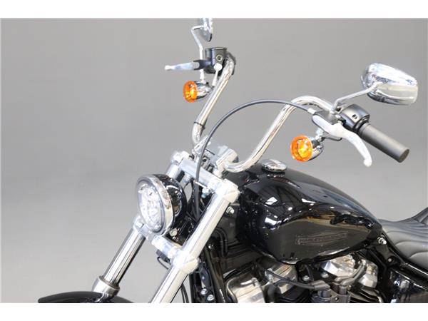 2024 HARLEY-DAVIDSON SOFTAIL STANDARD 