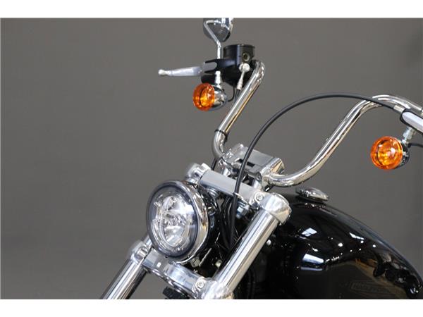 2024 HARLEY-DAVIDSON SOFTAIL STANDARD 