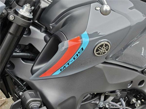 2021 Yamaha MT-09 (MTN890) Grey