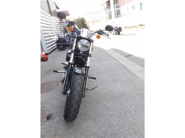 2019 HARLEY-DAVIDSON CUSTOM