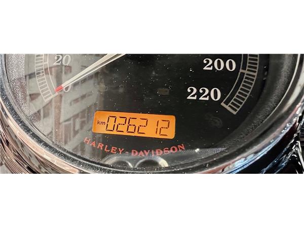 2015 harley-davidson FLSS Softail Slim S110 ABS