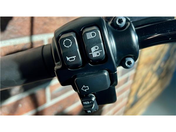 2015 harley-davidson FLSS Softail Slim S110 ABS