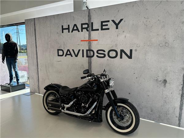 2020 harley-davidson FLSL 1745 Softail Slim 107