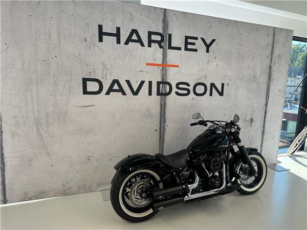 2020 harley-davidson FLSL 1745 Softail Slim 107