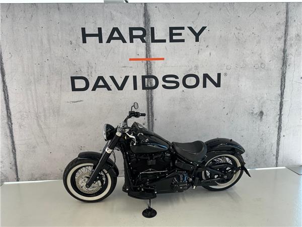 2020 harley-davidson FLSL 1745 Softail Slim 107