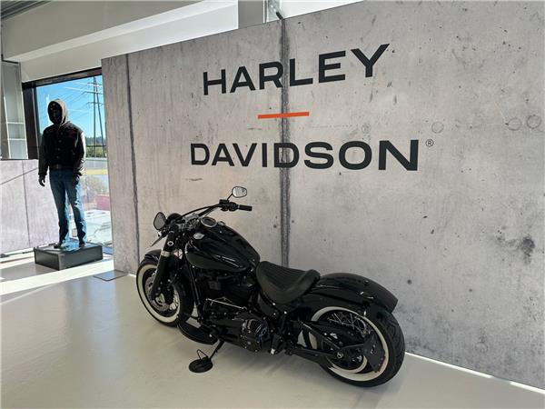 2020 harley-davidson FLSL 1745 Softail Slim 107