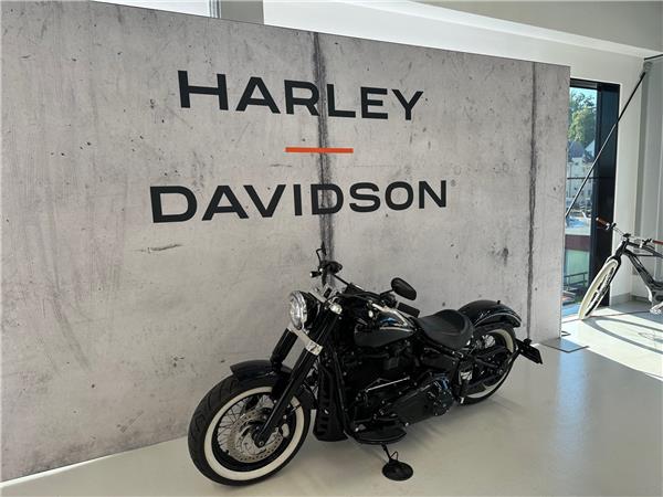 2020 harley-davidson FLSL 1745 Softail Slim 107