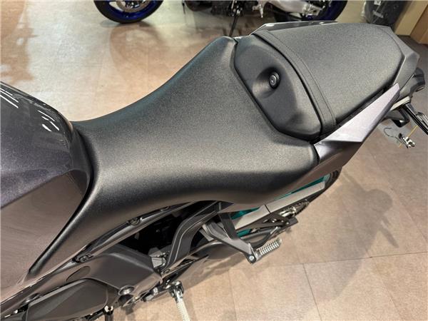 2025 YAMAHA MT-09 Y-AMT