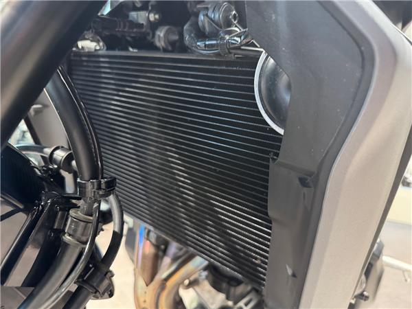 2025 YAMAHA MT-09 Y-AMT