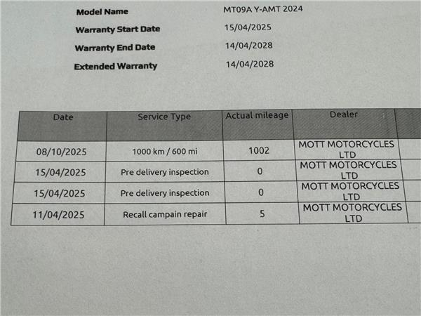 2025 YAMAHA MT-09 Y-AMT