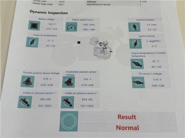 2025 YAMAHA MT-09 Y-AMT