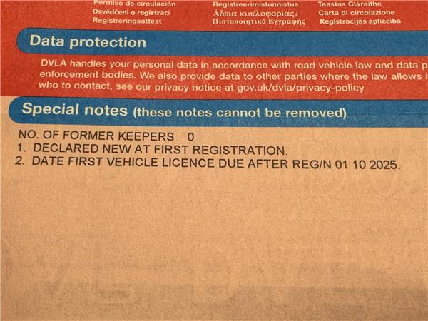 2025 YAMAHA MT-09 Y-AMT