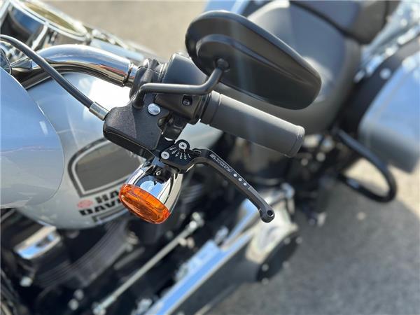 Softail Sport Glide 107cui 