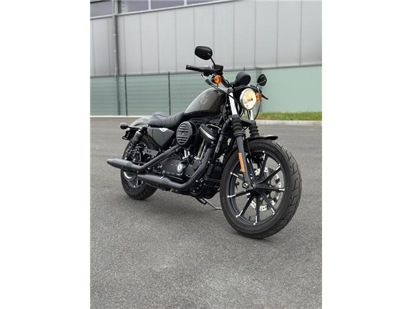 Sportster Iron 883 