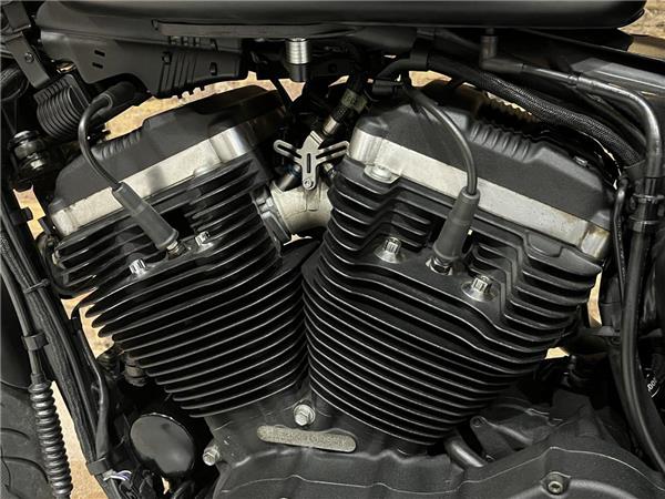 2019 Harley-Davidson Sportster