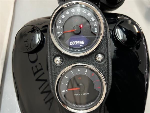 2021 HARLEY-DAVIDSON LOW RIDER