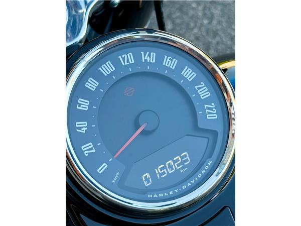 2018 HARLEY-DAVIDSON SLIM